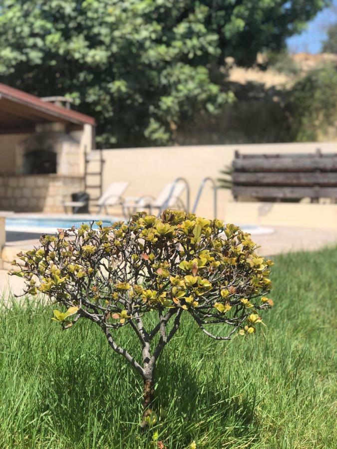 Afroditi House Stroumbi Esterno foto